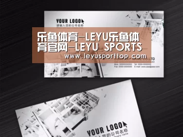 项目名称五