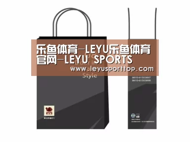 项目名称十四