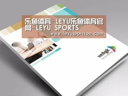 项目名称九