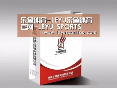 项目名称十三
