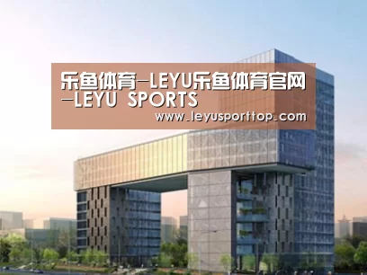 案例展示四