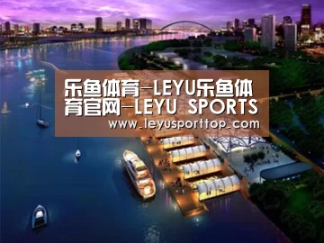 案例展示八