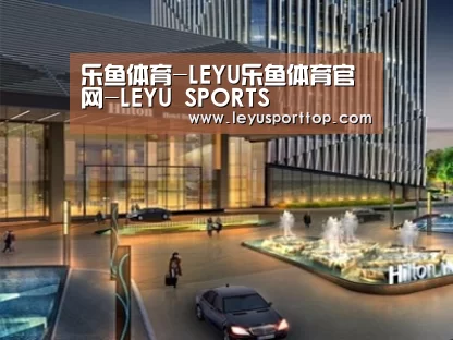 案例展示二