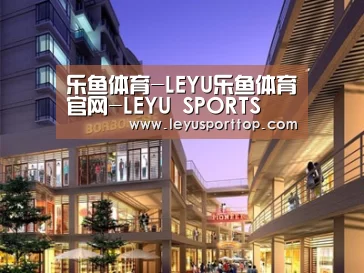 案例展示一