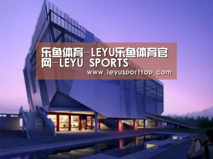案例展示六